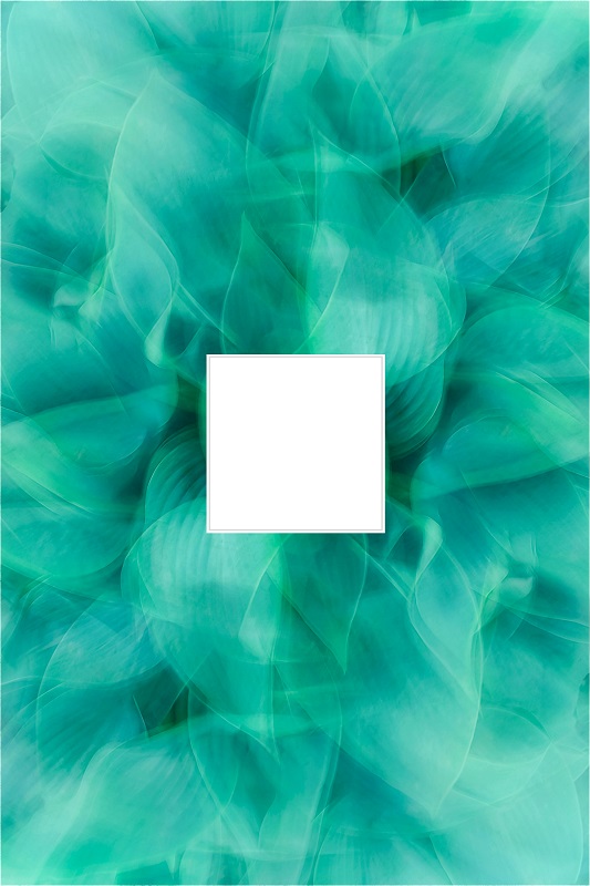 Phone Lock Screen Image 5